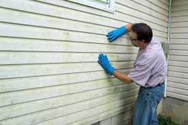 Affordable Siding Repair and Maintenance Services in Colony Park, PA